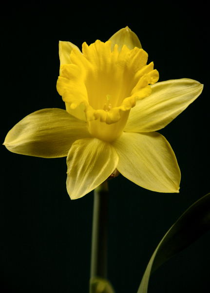 27-feb-07