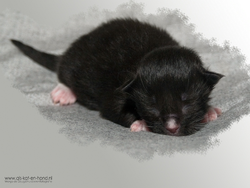 Little Q - 2 days young