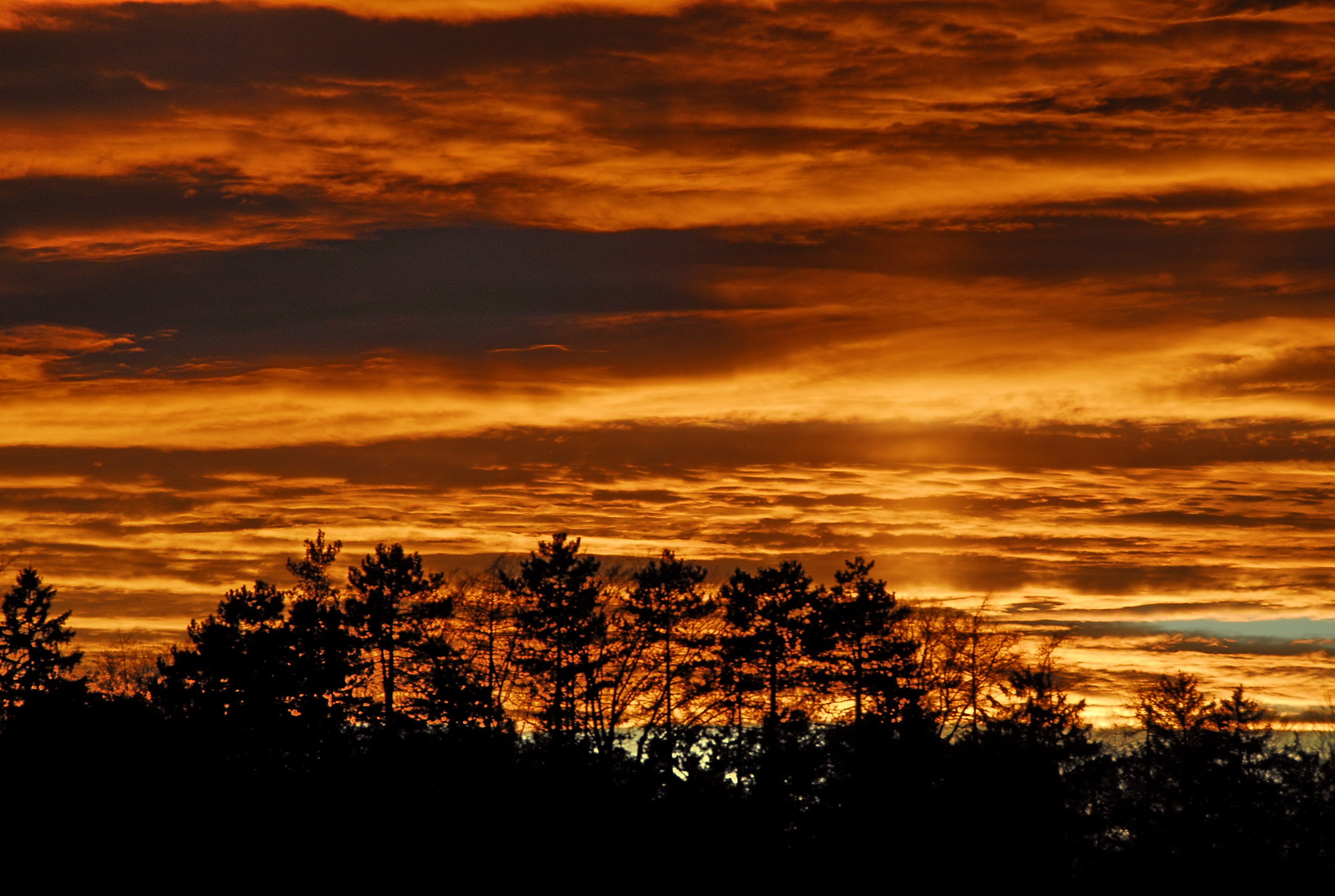 abendstimmung_2006_12_2000.jpg