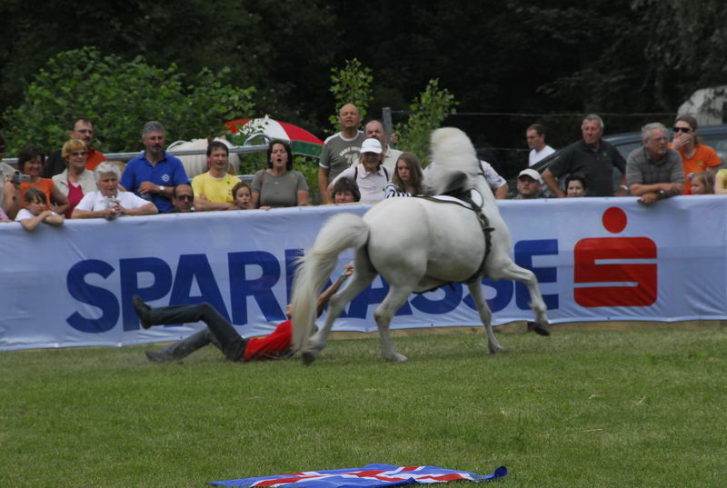 pferd_208_exposure.JPG
