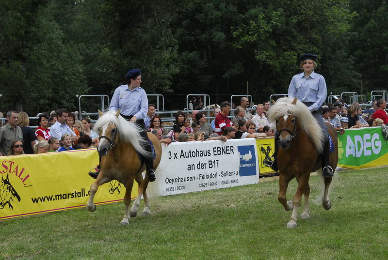 pferd_274_exposure.JPG