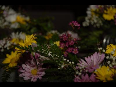 Rec_0198.JPG