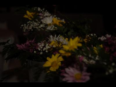 Rec_0199.JPG