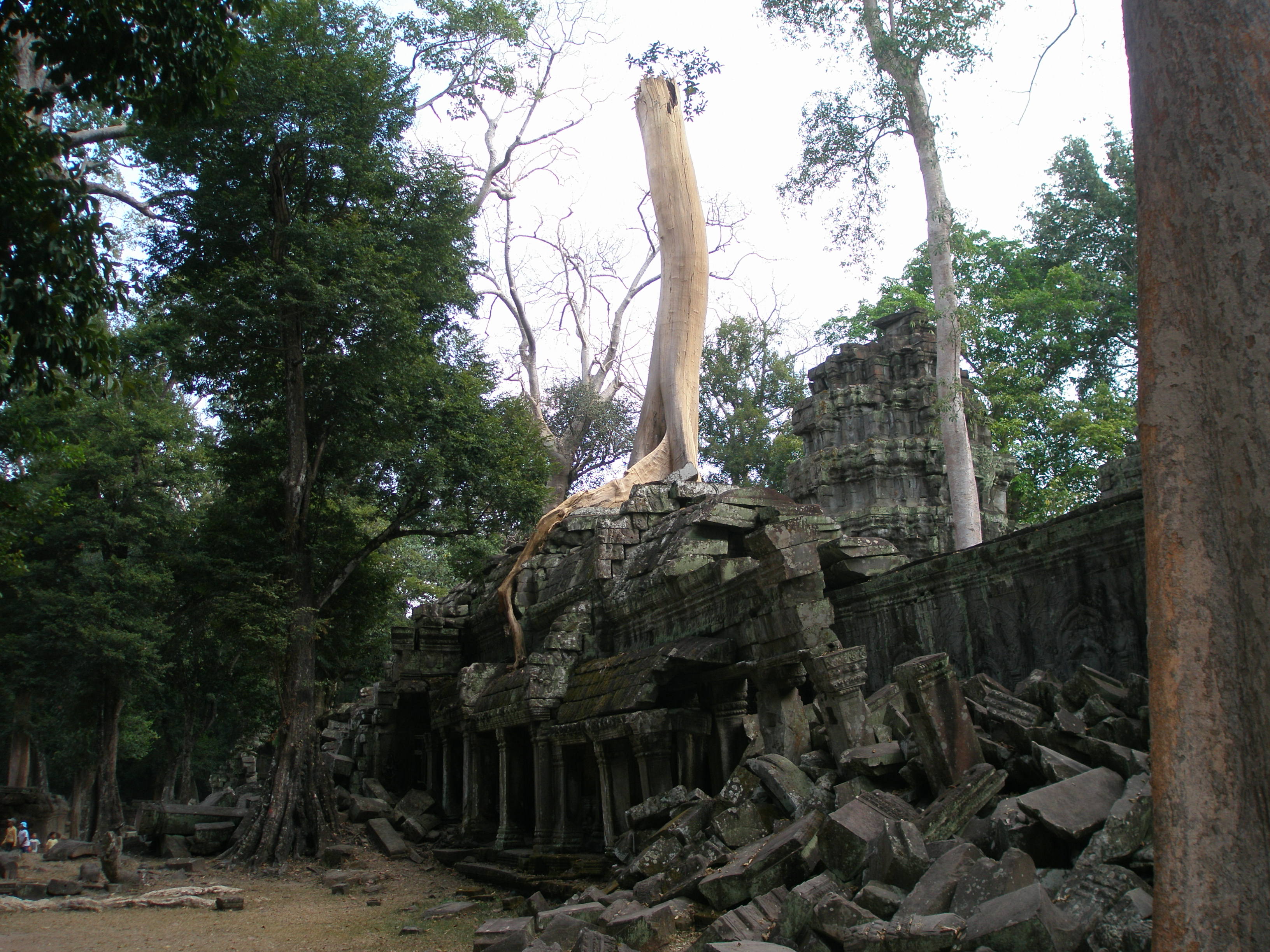 P1010378.JPG