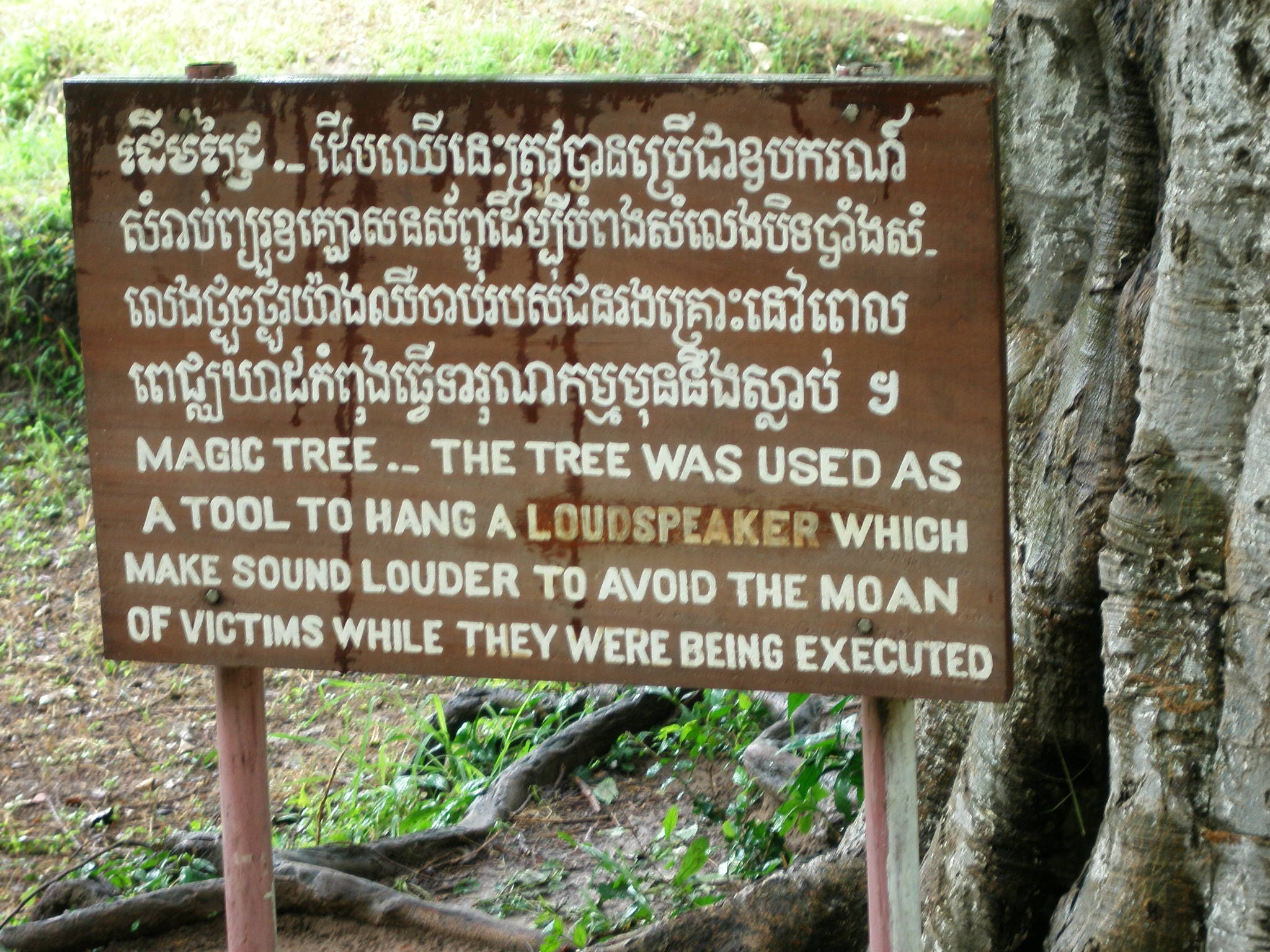 P1010383.JPG