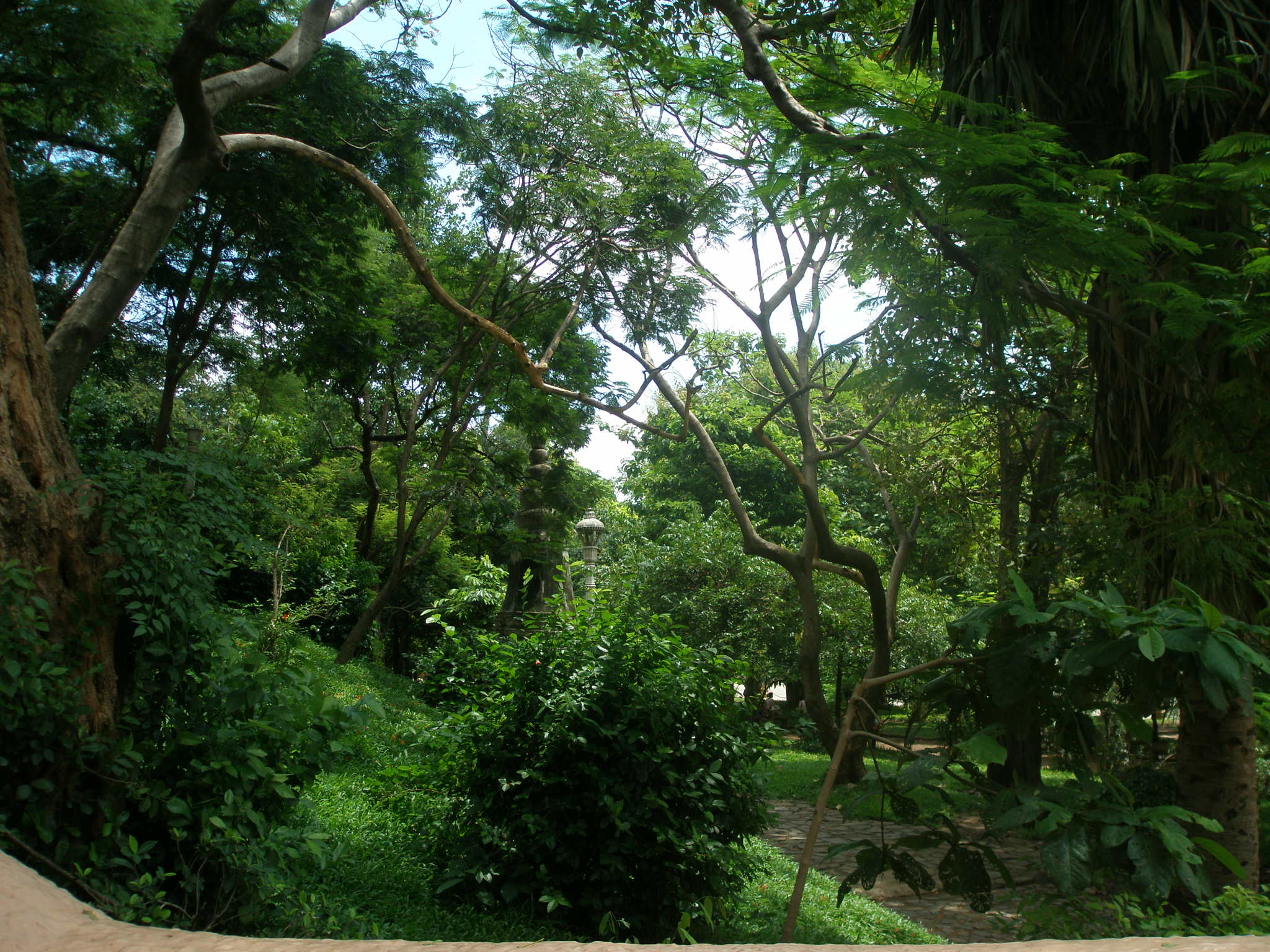 P1010456.JPG