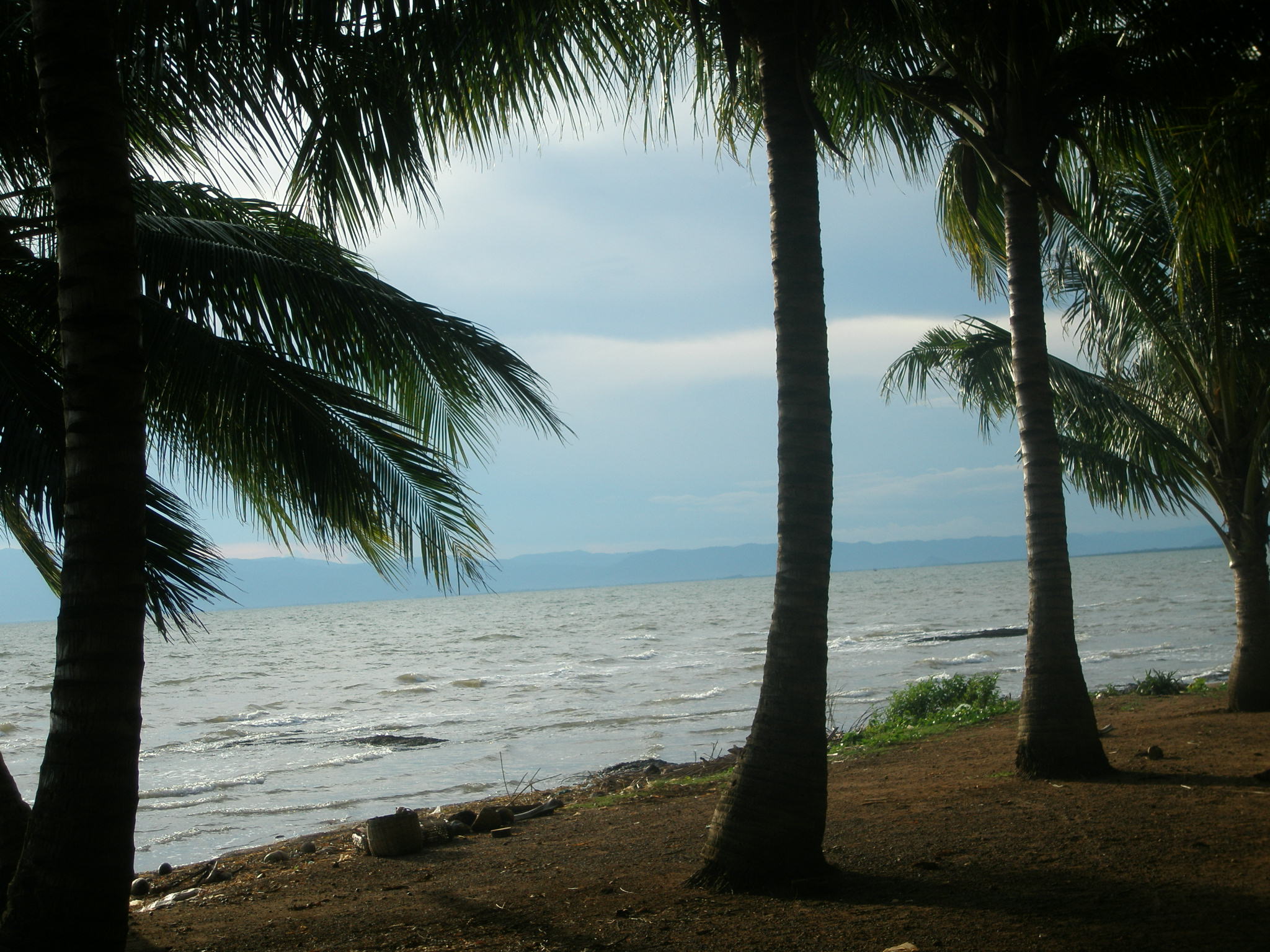 P1010082.JPG