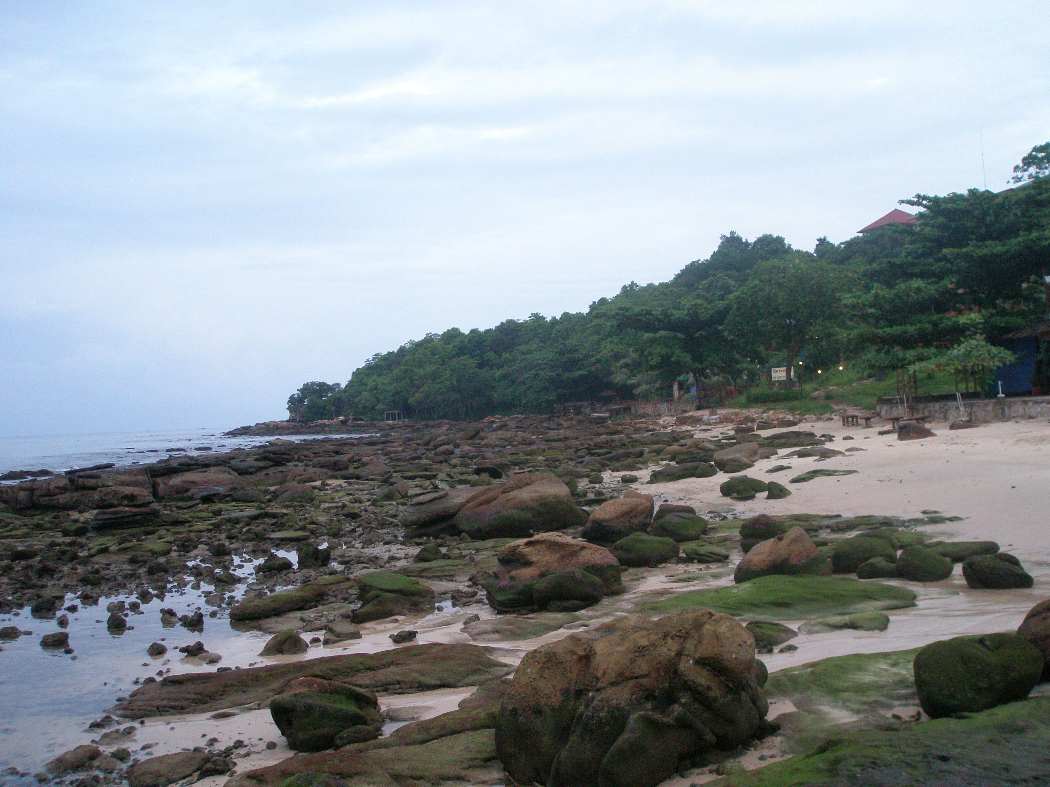 P1010266.JPG