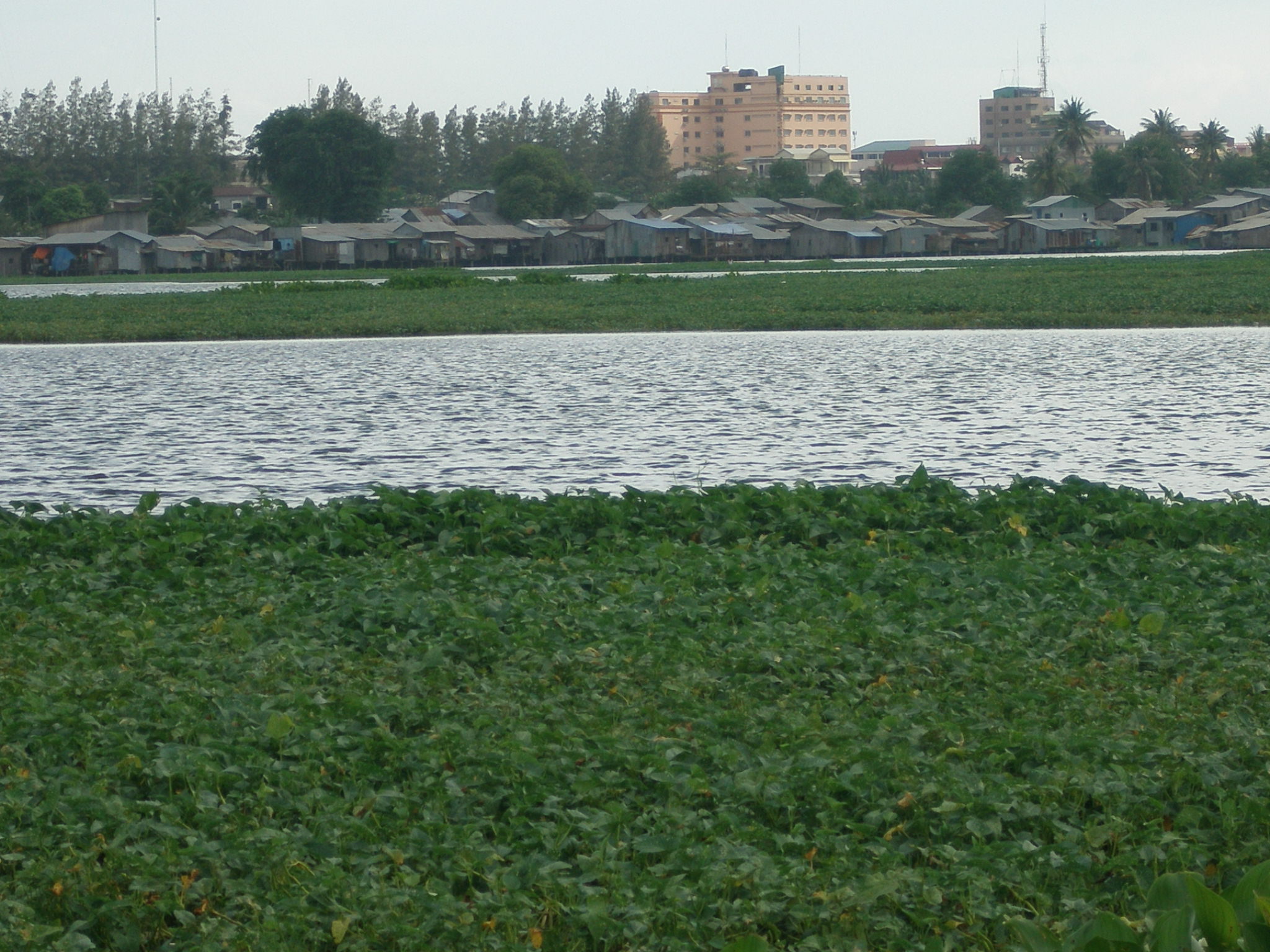 P1010340.JPG