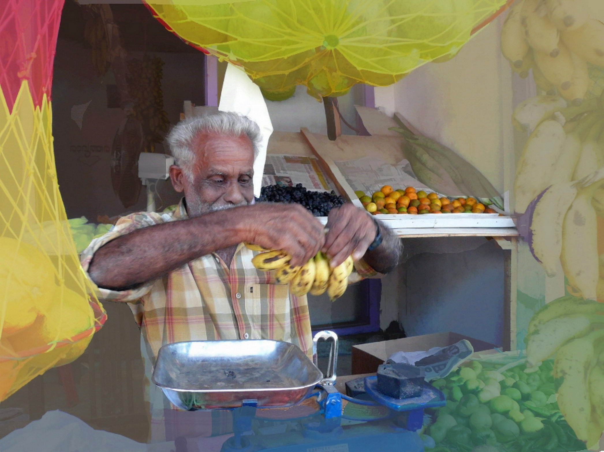 THE  FRUIT  SELLER