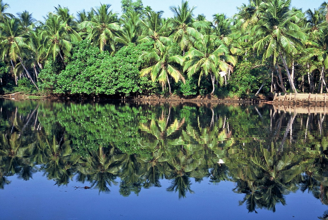 - KERALA - LAND OF COCONUTS