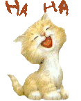 HaHaKitten5.gif