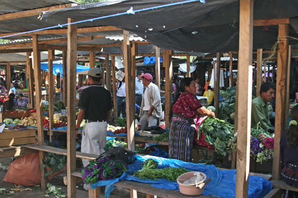 Mercado Local