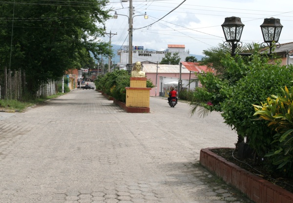 Calzada de Ingreso al Centro de la Ciudad