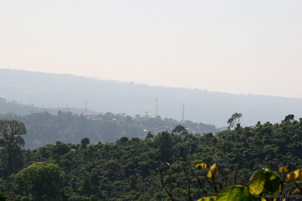 Vista Panoramica del Poblado y las Plantaciones de Cafe