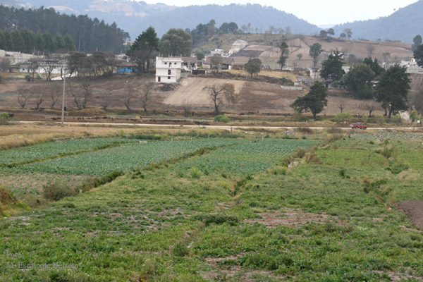 Plantaciones de Verdura Proximas a las Afueras de la  Zona Urbana