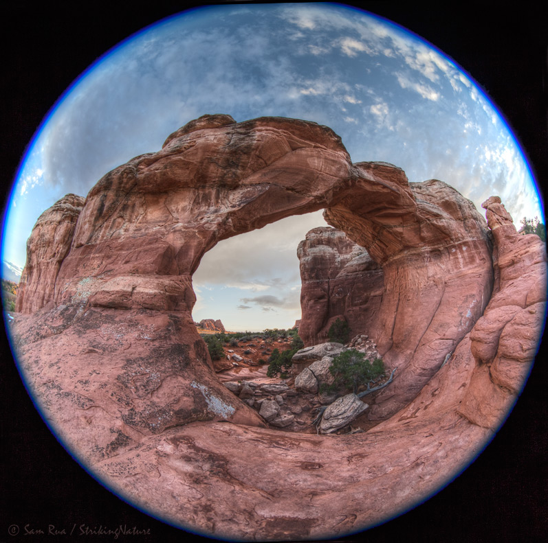 Broken Fisheye