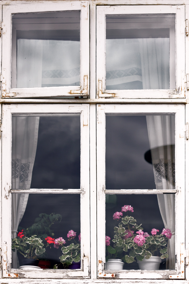 Flowers on the Windowsill