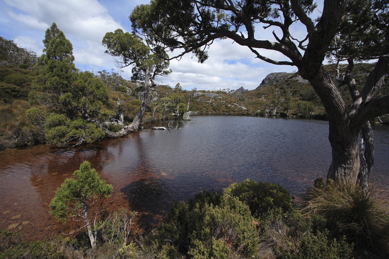 Wombat Pool