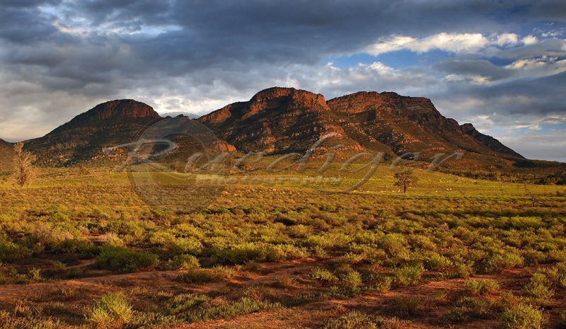 Wilpena Pound (FR_1081)