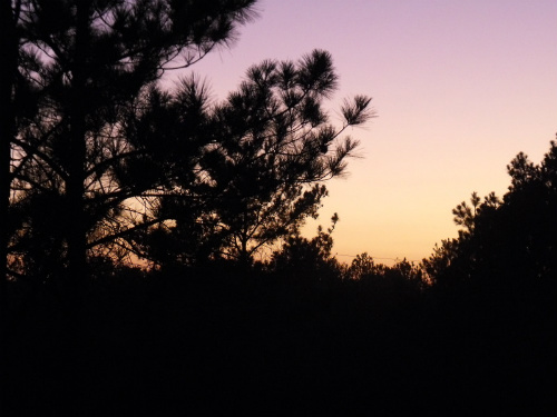 Goodnight world
