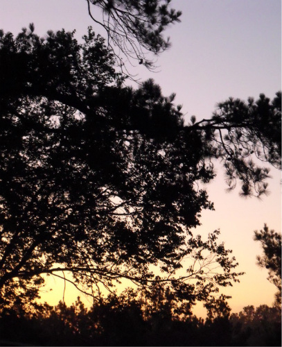 Breaking dawn