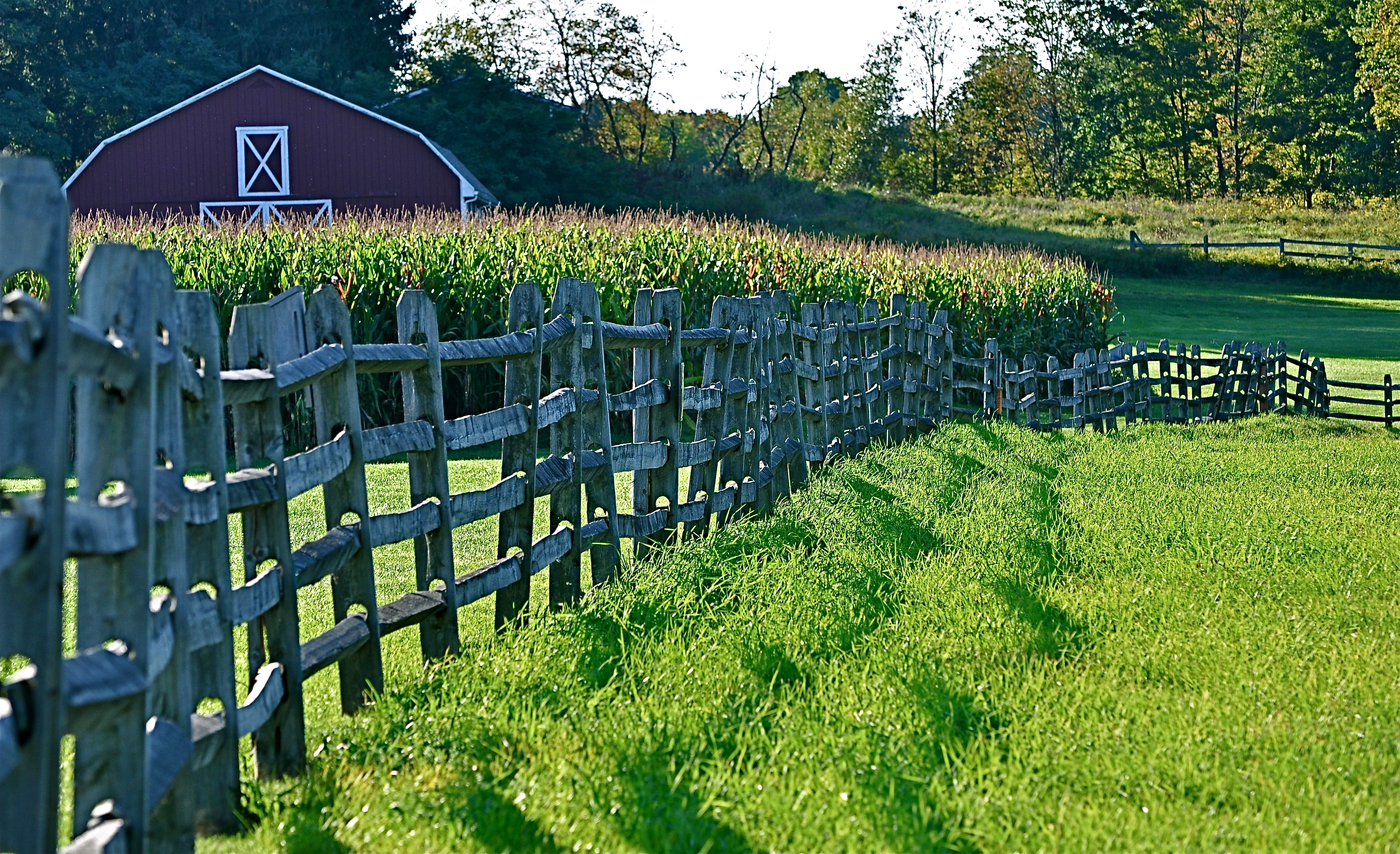 Barn and Fence in the Afternoon Sun