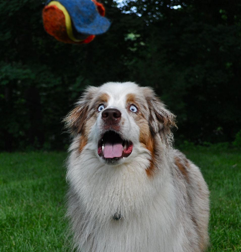 Keeping Your Eye On The Ball