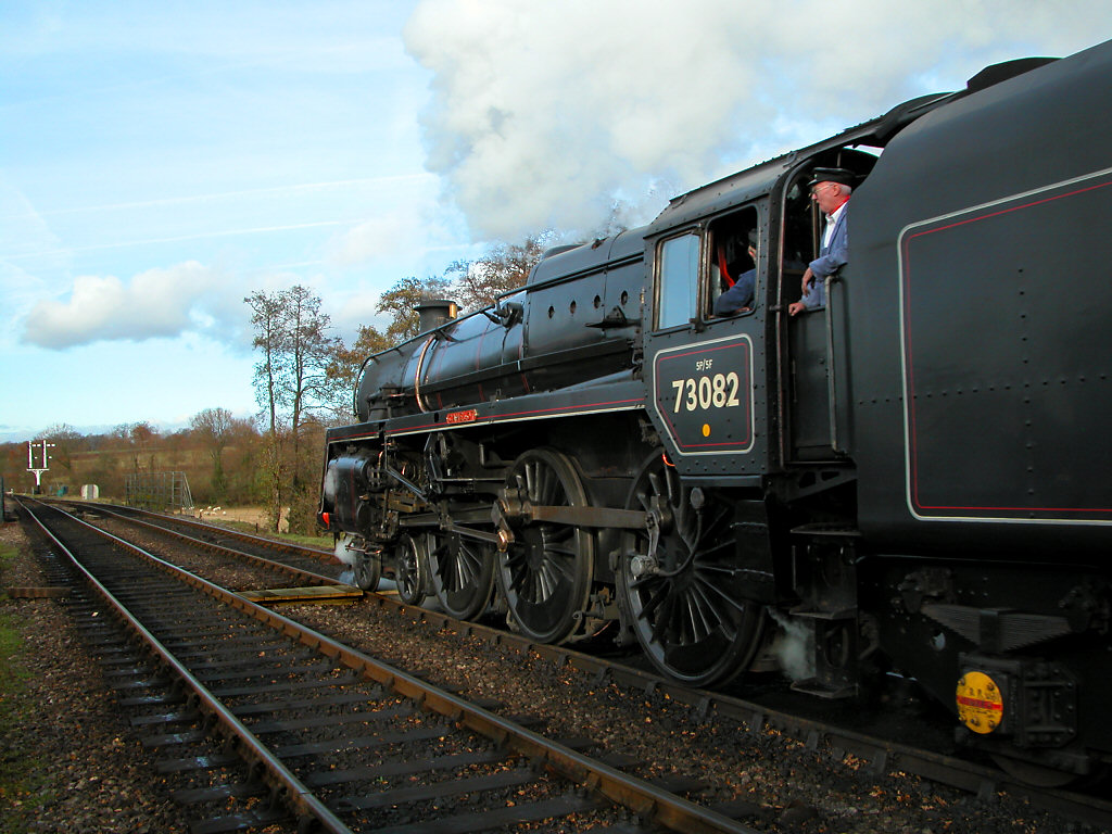 Bluebell 151103_70.jpg