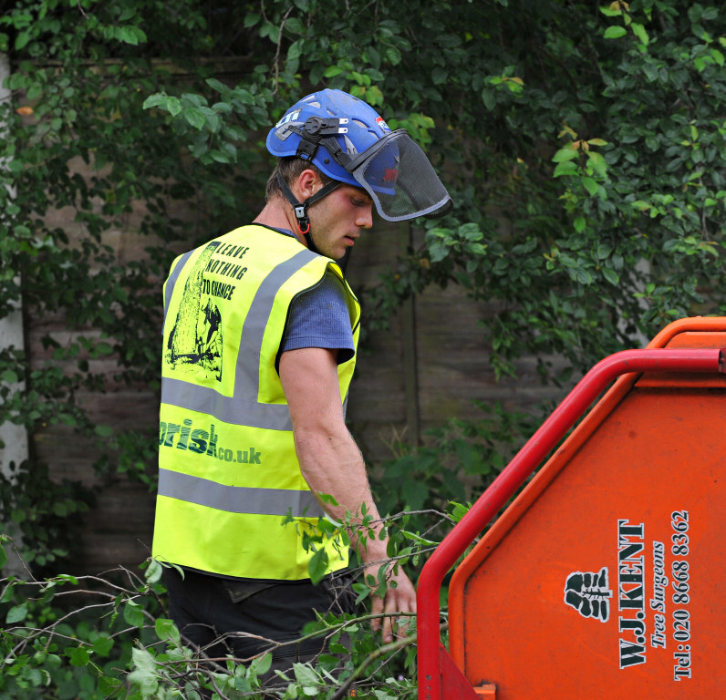 TreeSurgery280612_ 24.jpg
