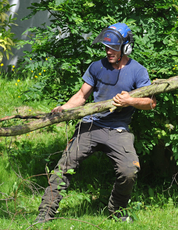 TreeSurgery280612_ 56.jpg