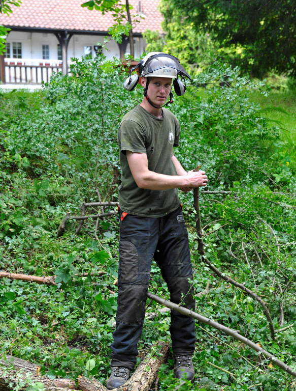 TreeSurgery280612_ b107.jpg