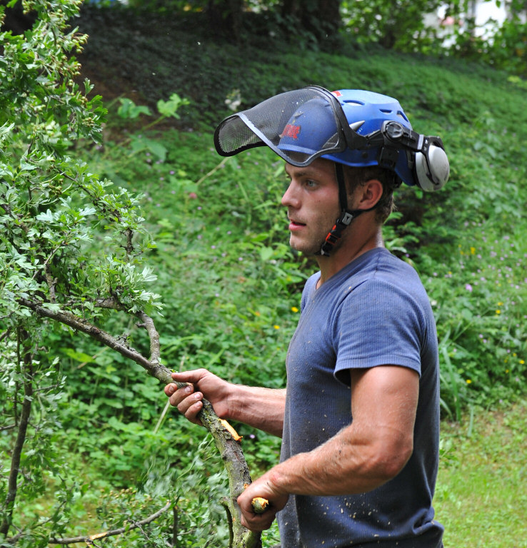 TreeSurgery280612_ b109.jpg