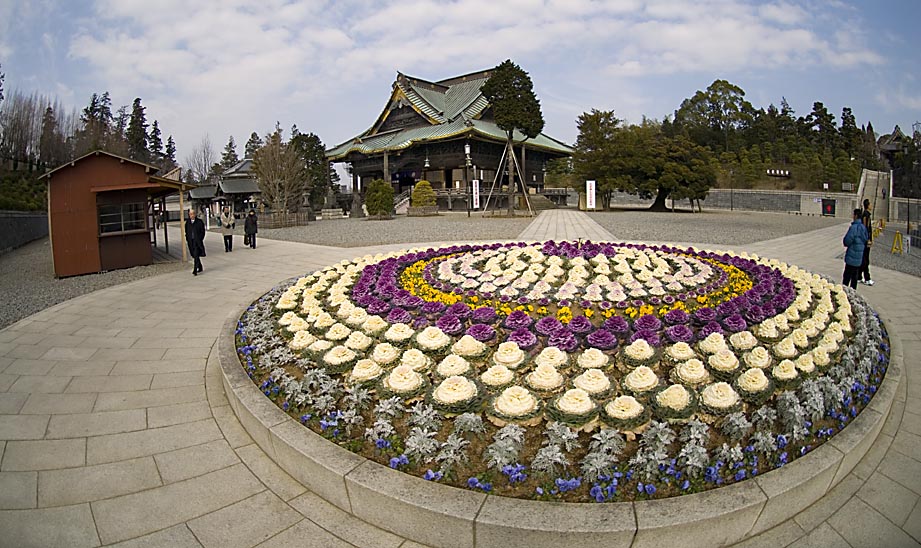 Temple and Flower Plot