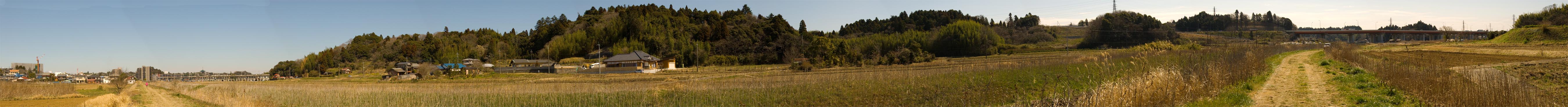 Rice Paddy Road
