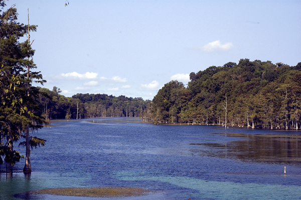 Merritts Mill Pond (Jackson Blue)