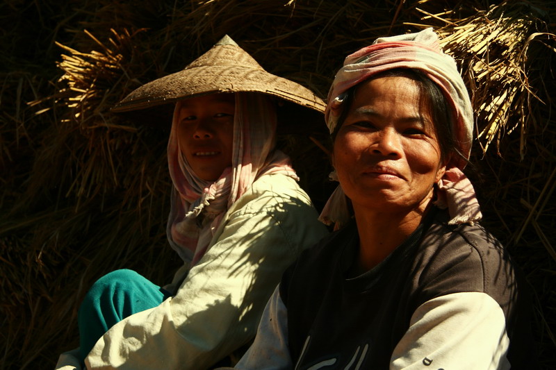 Rice Field workers, Pai, Thailand