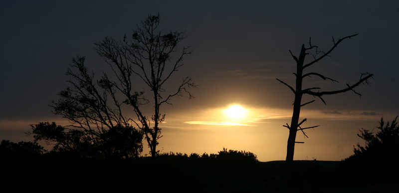 Coucher de soleil  St Gilles Croix de vie