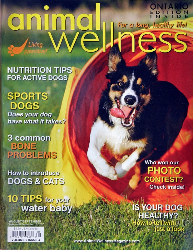 Roo on the cover