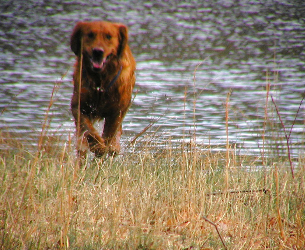 running