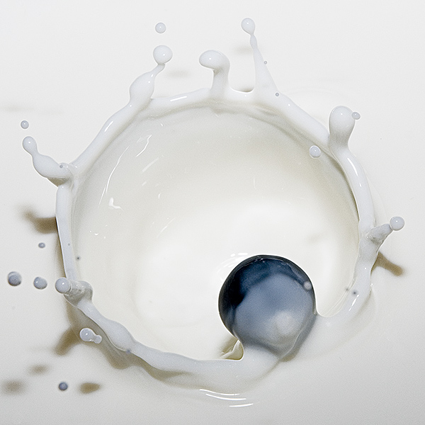 Blueberry Splat.