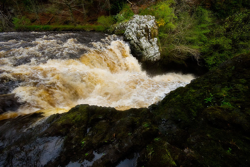 Reekie Linn.