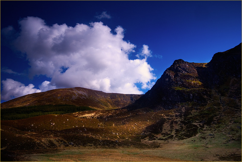 Corrie Fee.