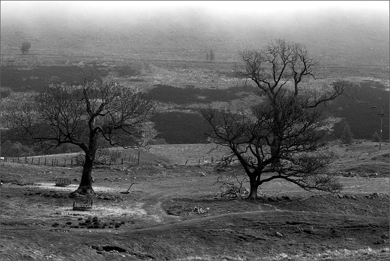 Glen Clova.