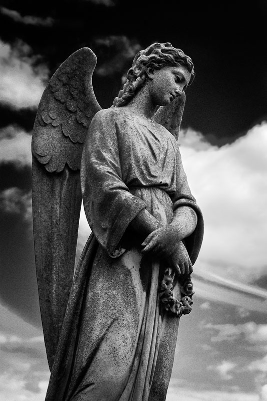 Angel.