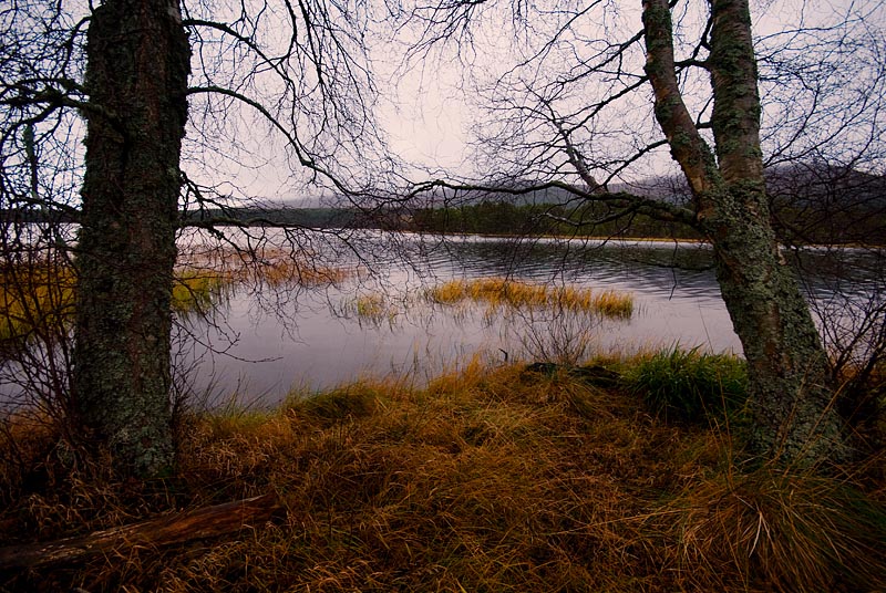 Loch Morlich.