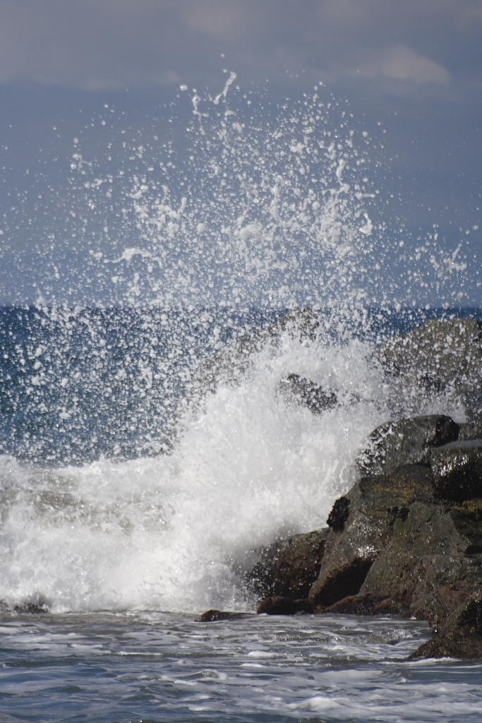 DPP_101815.JPG