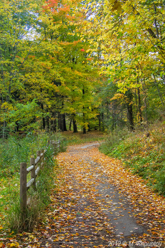 Wilket Creek Park