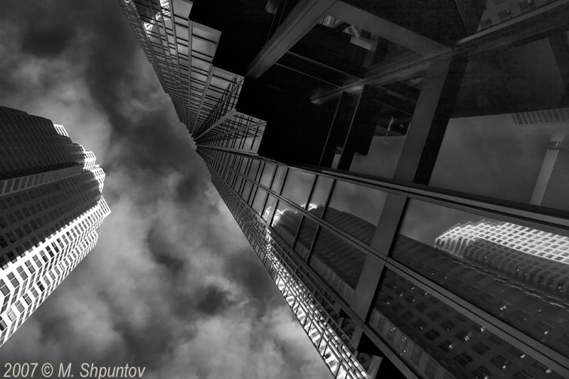 Fly Away - January B&W Challenge 12
