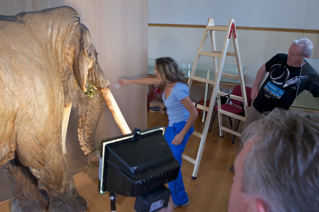 Dimitra Lambretsa making a shadow on the wall in the Siatista museum